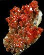 Red Vanadinite Crystal Cluster - Morocco #36978-2